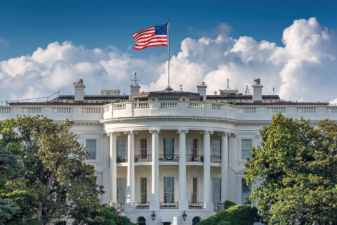 President Trump reshapes federal government with sweeping cuts and controversial appointments