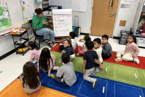 With peers on vacation, some Fairfax Co. kids use spring break to catch up