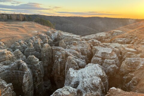 DC Getaway: 3 unforgettable nature and wildlife adventures in the Ozarks, Missouri 